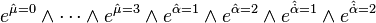 e^{\hat{\mu}=0}\wedge \cdots \wedge e^{\hat{\mu}=3} \wedge e^{\hat{\alpha}=1} \wedge e^{\hat{\alpha}=2} \wedge e^{\hat{\dot{\alpha}}=1} \wedge e^{\hat{\dot{\alpha}}=2}