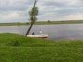 Fishing on the river Sozh. Krichev or Krychaw (Belarus).JPG