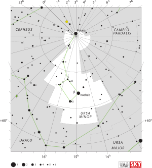 Küçük Ayı takımyıldızı'nın sınırlarını ve yıldızların konumlarını gösteren diyagram
