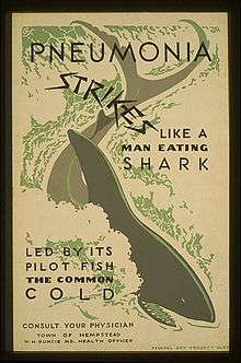 ortasında köpek balığı olan bir poster A poster with a shark in the middle of it which reads "Pnömoni, Kılavuz Balığı olan Yaygın Soğuk Algınlığının Öncülük Ettiği Köpek Balığını Yiyen bir İnsan İzlenimi Bırakır"